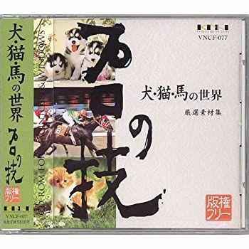 【中古】プロの技 犬・猫・馬の世界