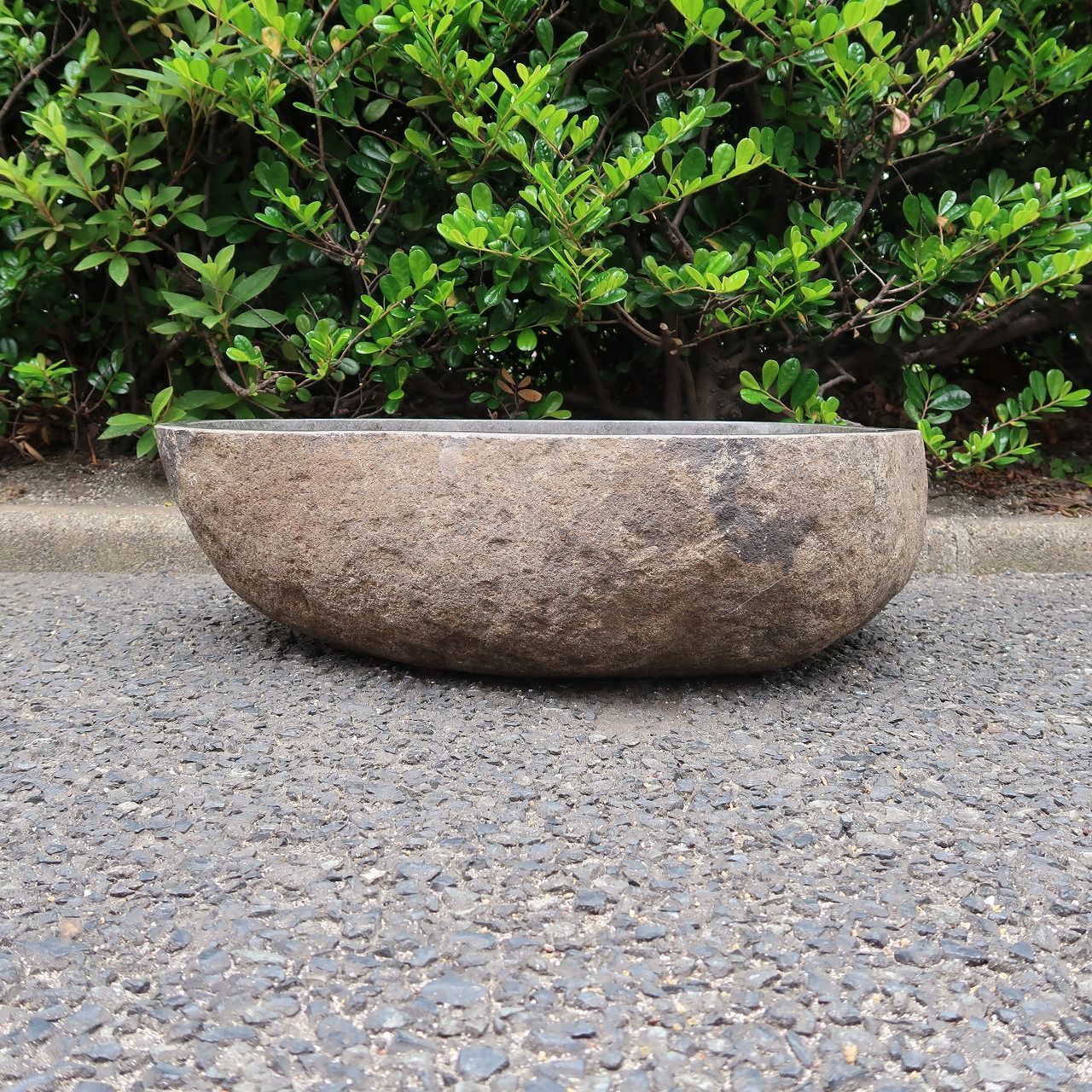 メダカ鉢