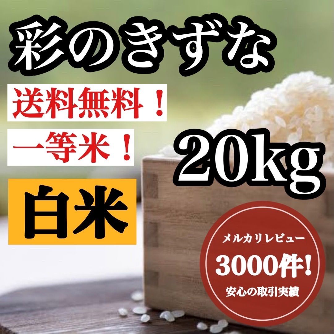 白米　20kg 彩のきずな　新米　埼玉県産　令和5年産　送料無料　米　20キロ