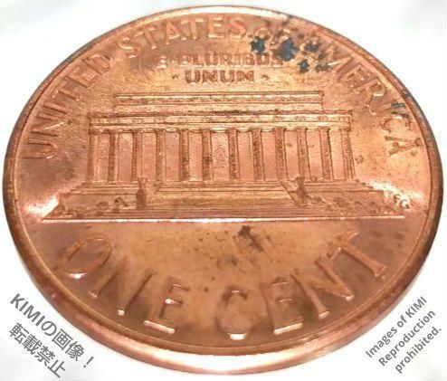 1セント硬貨 2001 D アメリカ合衆国 リンカーン 1ペニー 貨幣芸術 Coin Art #KIMIcoins #KIMIの商品 1 Cent  Lincoln 1Penny United States coin 2001 D