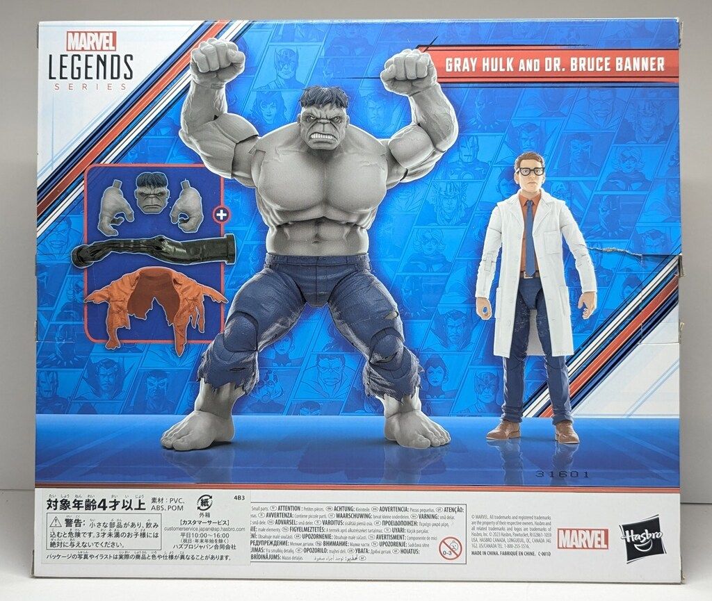 HASBRO (ACTION FIGURE) AVENGERS / BEYOND EARTHS MIGHTIEST GRAY HULK u0026 DR.BRUCE BANNER 6インチ