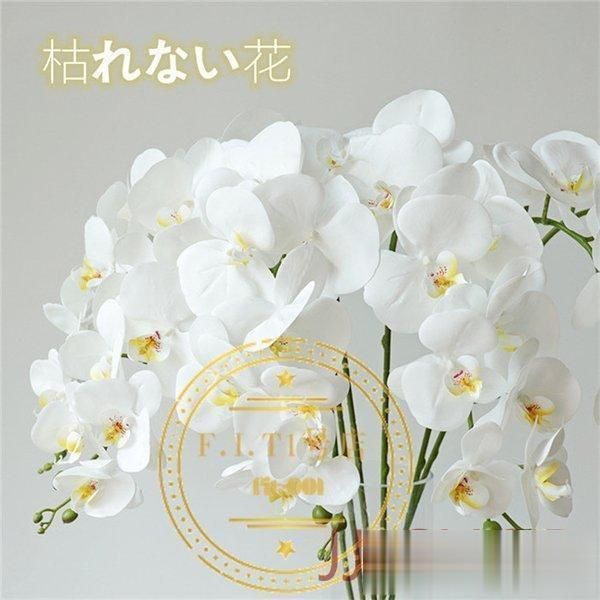 ハーバリウム グリーンフォレスト ＊しずく＊カラフルポップ ② ピンク