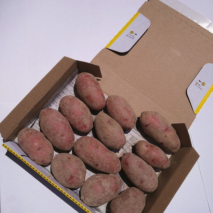 広島県産 レッドムーン じゃがいも - メルカリ