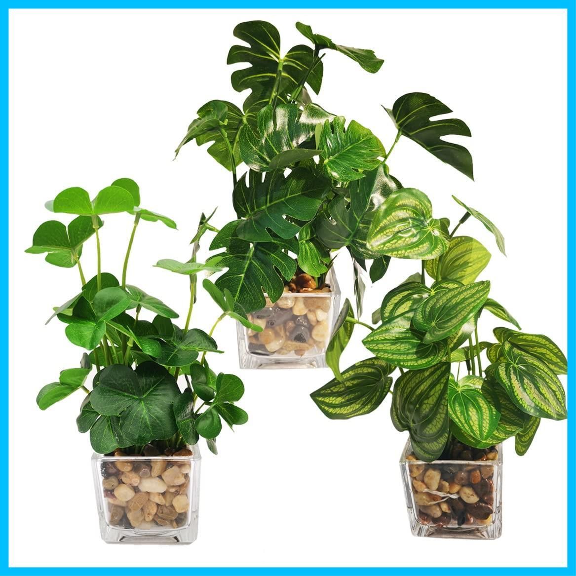 在庫 インテリア 飾り 人工観葉植物 造花 鉢植え 世話いらず 卓上 観葉植物 水やり不要 フェイク スイカの葉 オフィス クローバー モンステラ ホーム 3点セット フェイクグリーン デコレーション 光触媒 Lilizero