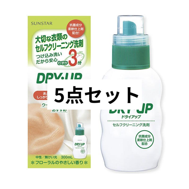 ドライアップ セルフクリーニング洗剤 300mL (本体) 2個セット