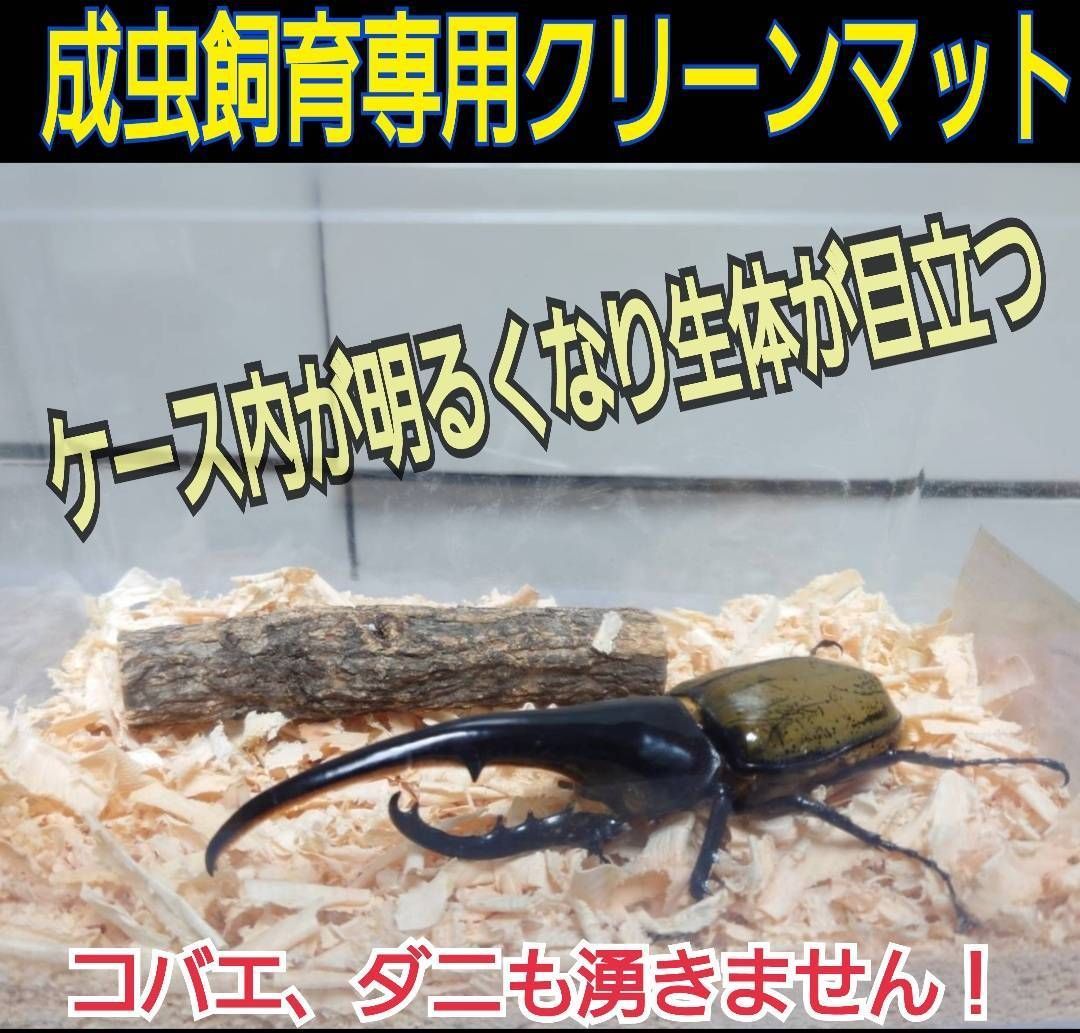クワガタ、カブトムシの成虫管理専用☆針葉樹マット【30L】コバエ 