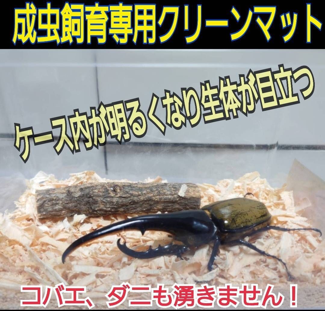 クワガタ、カブトムシの成虫管理専用☆針葉樹マット【30L】コバエ