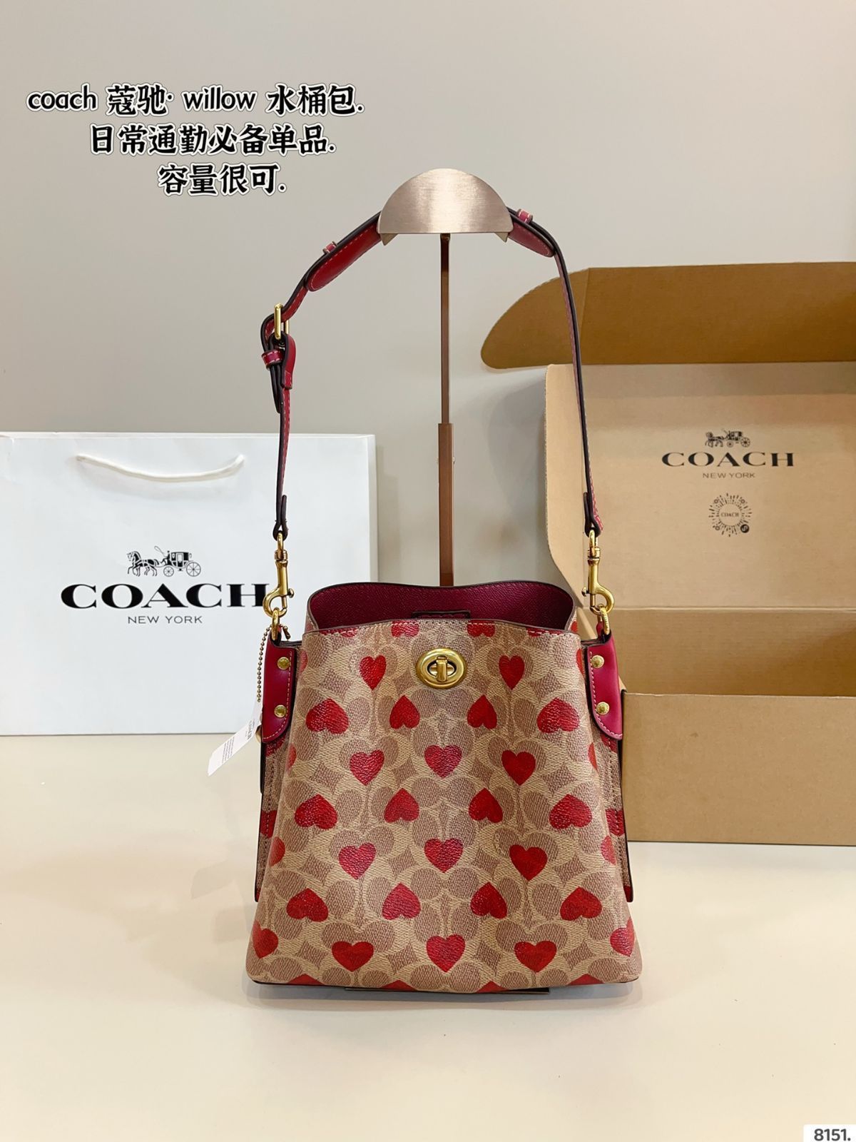 今日 COACH Willow Bucket Bag コーチ ウィロー バケット バッグ-MM輸入
