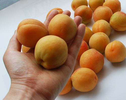 ４ｋｇ×２箱