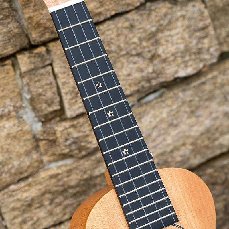 EUS-25D ウクレレケース