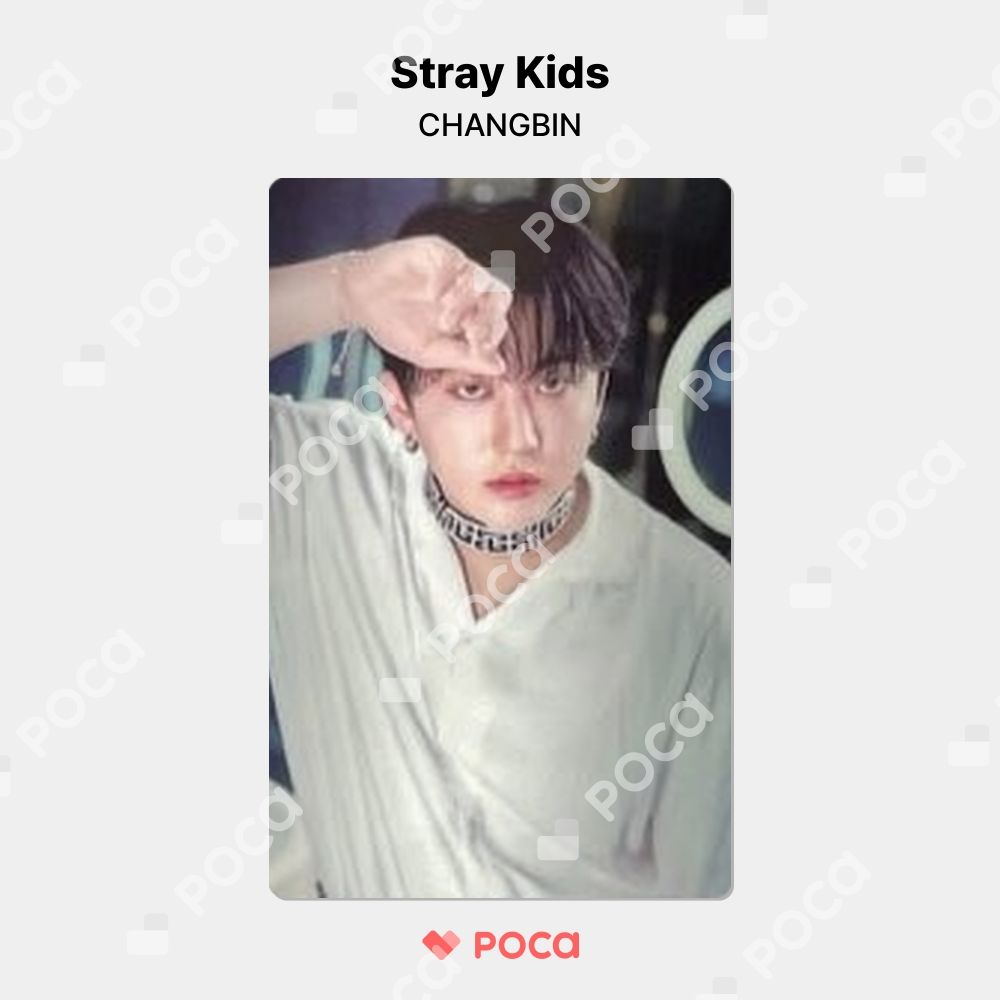 straykids チャンビン スキズ トレカ 'Stay in STAY' JEJU