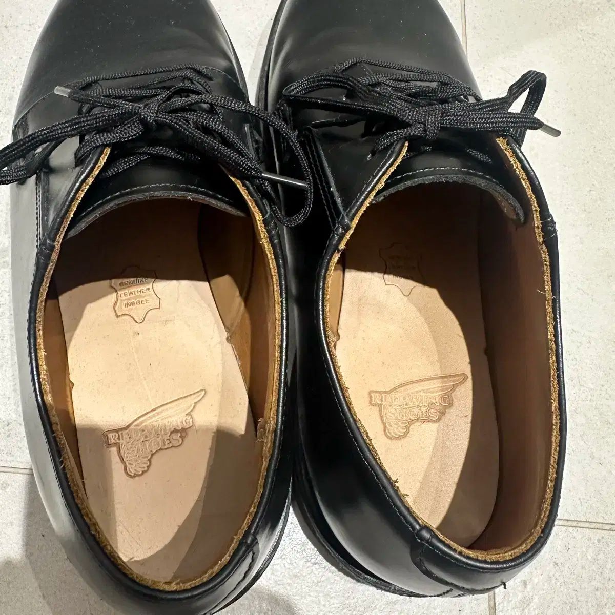 WING レッドウィング