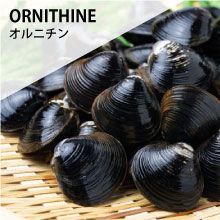メーカー直販