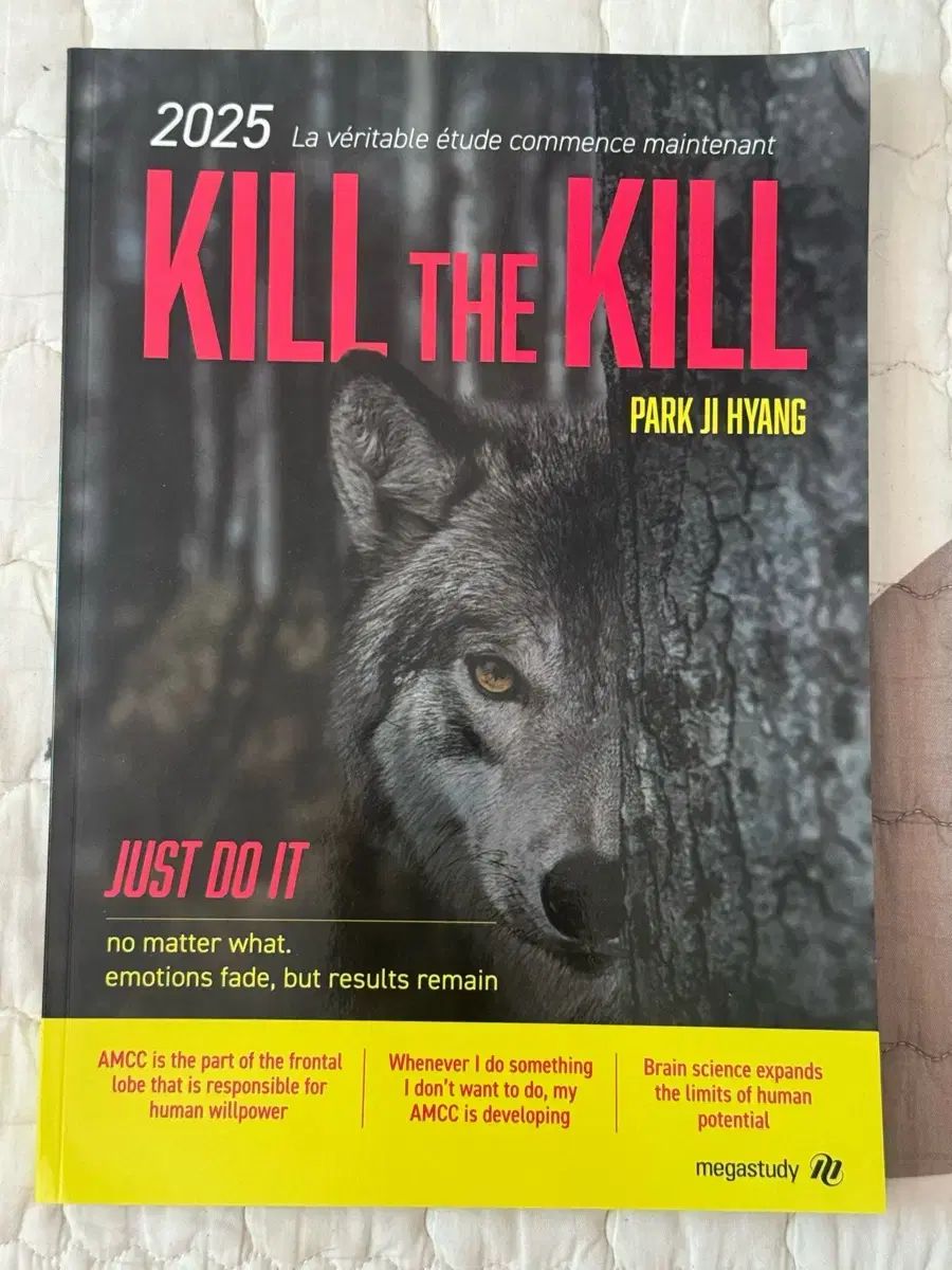 鳥*マ様 ワンピース ver.bb ジュエリーボニー