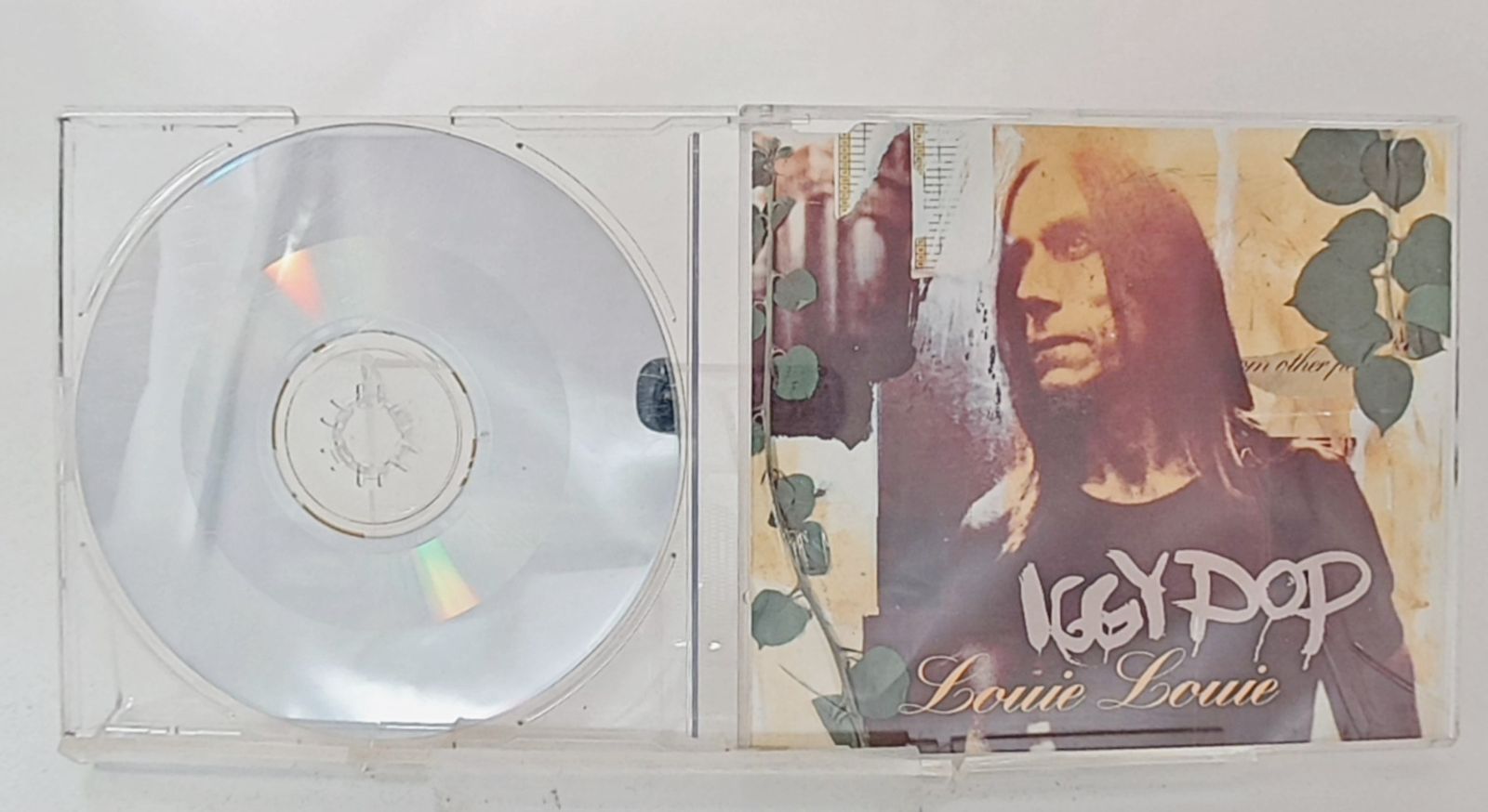 【美品】 Iggy Pop 1st&2nd LP2枚セット！ Iggy Pop イギーポップ/NJ,USA 06.14.1997