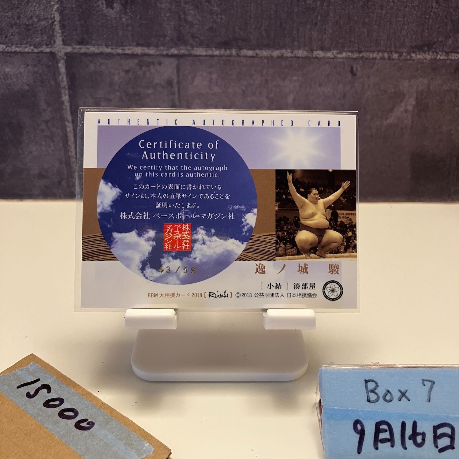 2018 BBM 逸ノ城駿 43 59 直筆サイン 湊部屋 カード