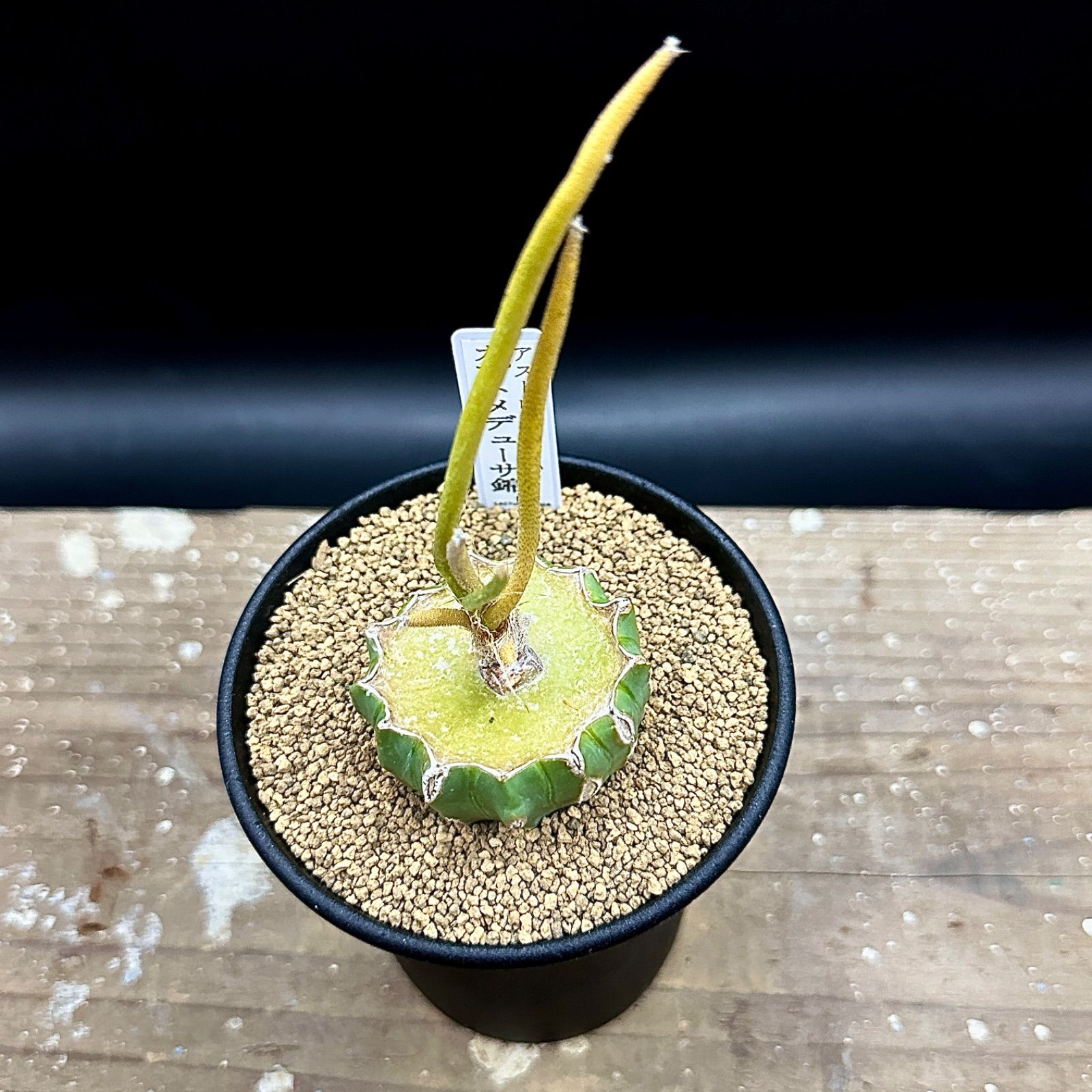 メルカリ