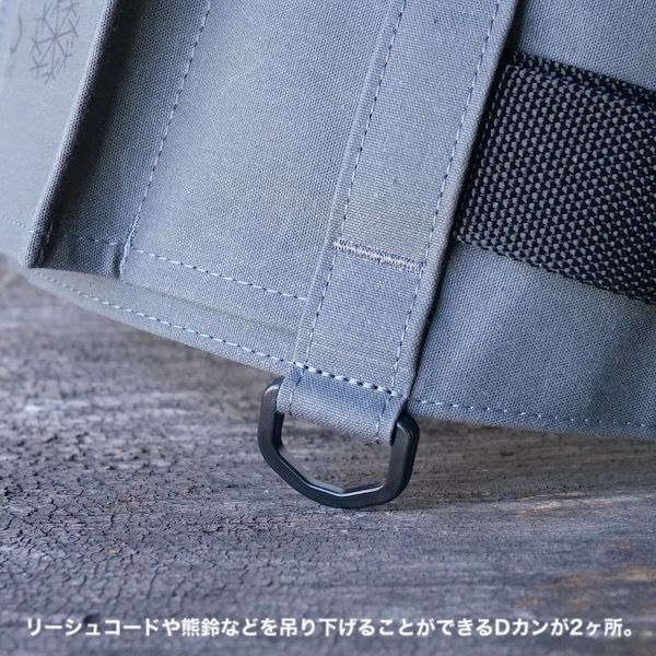 DAIS キャンバス