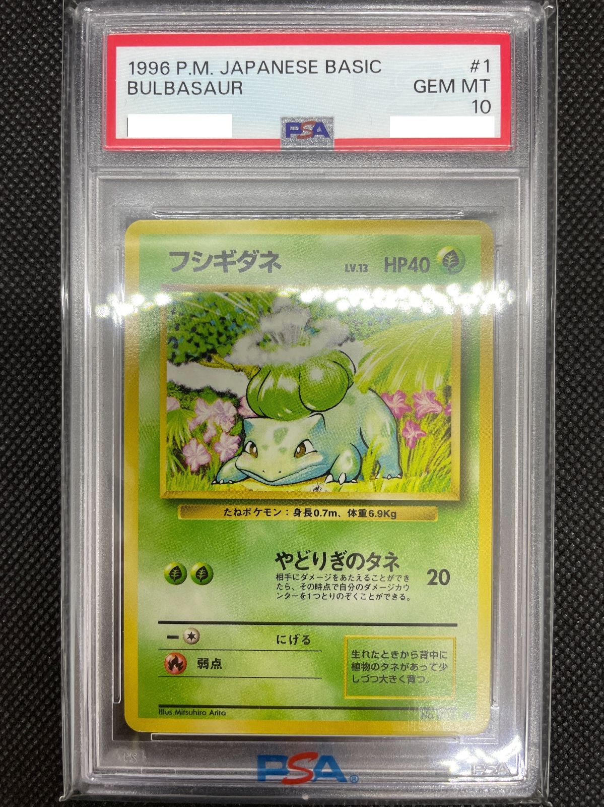 PSA鑑定品】旧裏 フシギダネ LV.13 PSA10 ポケカ - メルカリ