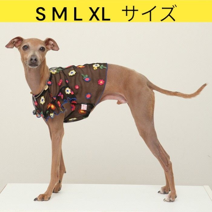 りったろページ　イタグレ服　ハンドメイド イタグレ服(ハンドメイド) (22) S