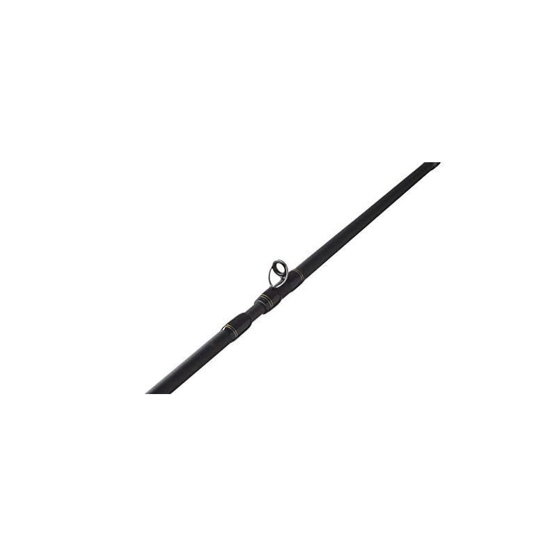 黒船 ライトアジ