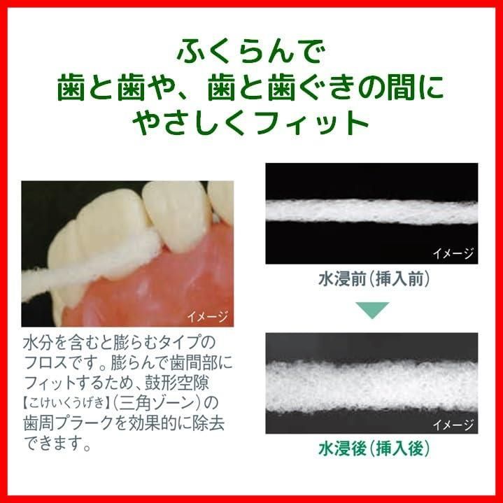 デンタルフロス GUM
