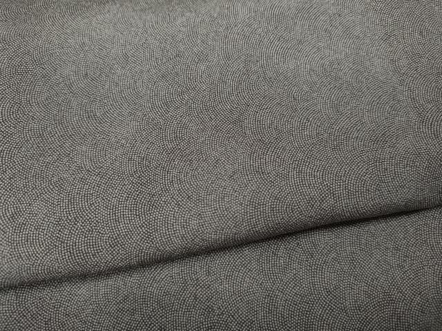 平和屋着物○江戸小紋 寺山存男 鮫小紋柄 正絹 逸品 CAAX4471ut