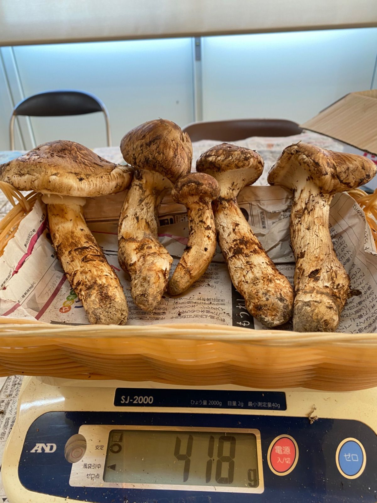 天然きのこ 松茸 国産 良品‼️ マツタケ まつたけ 大自然の凛さん採取