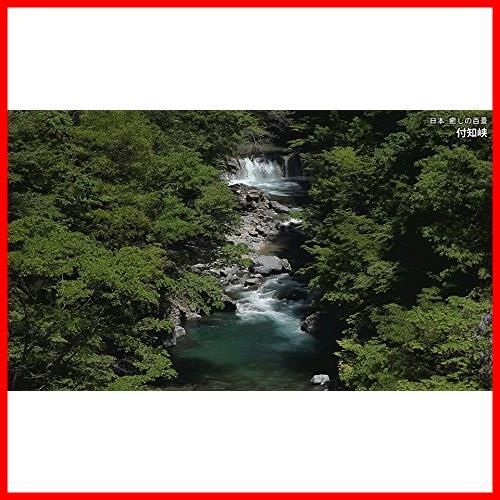 数量限定】シンフォレストDVD 日本 癒しの百景 ~Trip to Japan the Most Beautiful Scenes~ - メルカリ