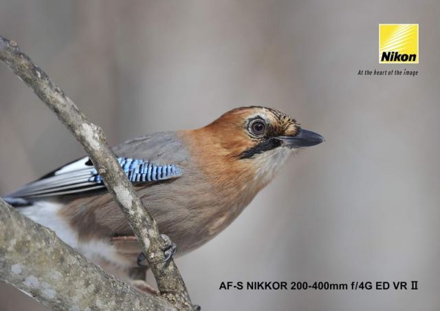 Nikon 望遠ズームレンズ AF-S NIKKOR 200-400mm f 4G ED VR II フルサイズ対応 MEBLE-SODAR_PL