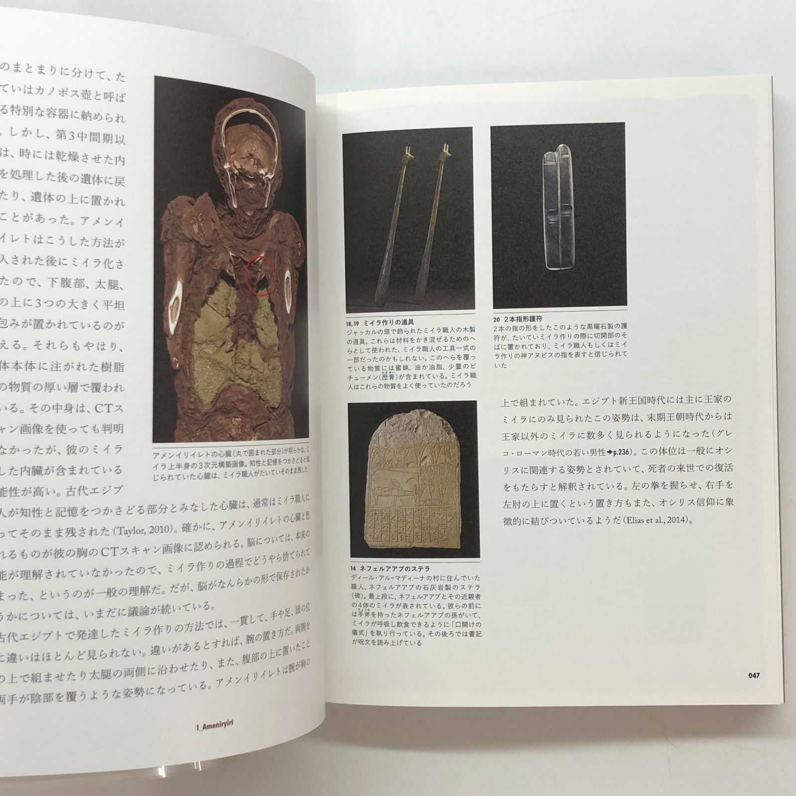 図録 大英博物館ミイラ展 : 古代エジプト6つの物語 >>L-1
