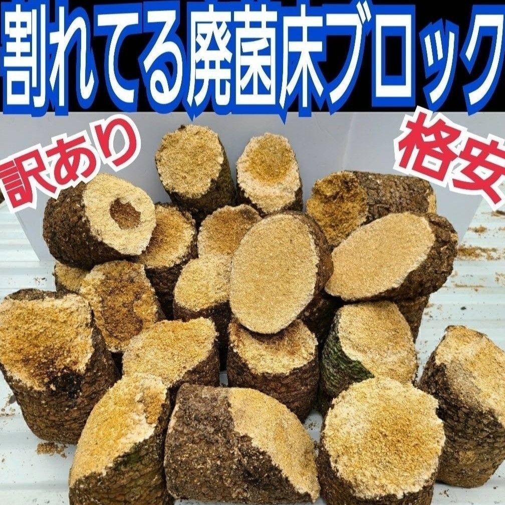 椎茸廃菌床6ブロック☆カブトマットに埋め込み栄養強化に！クワガタ