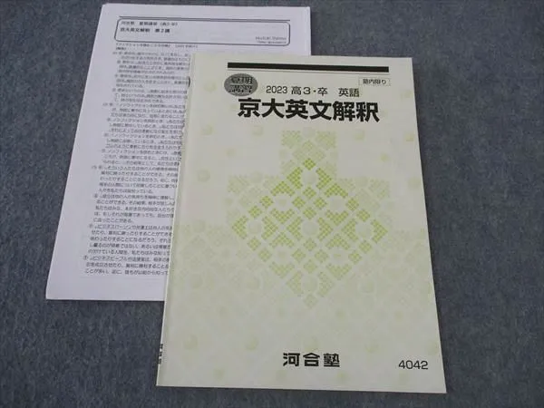 【河合塾】『早慶大英語　新野元基先生　第1講授業ノート』　　+α　　東進講師 河合塾】『早慶大英語 新野元基先生 第1講授業ノート』 +α 東進