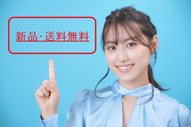 介助式 車いす
