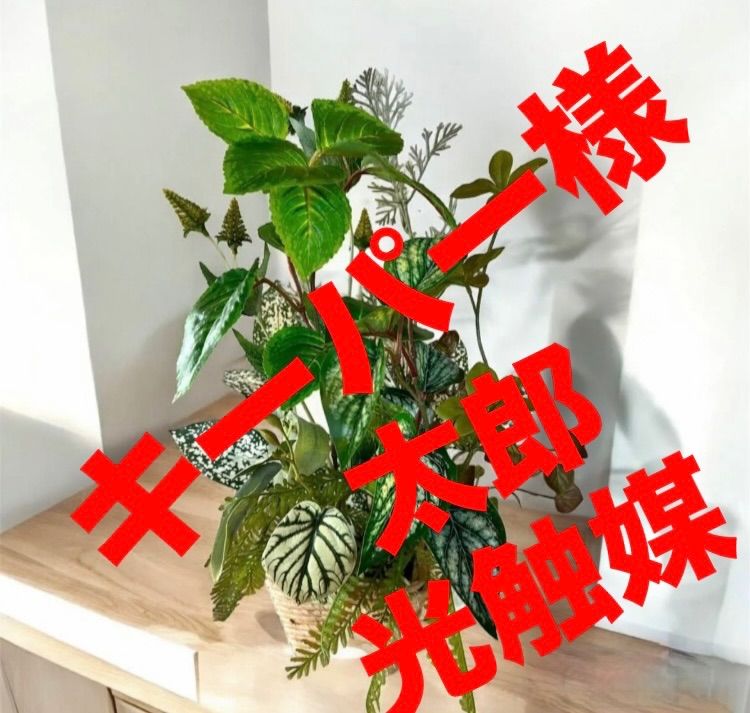 光触媒 人工観葉植物 ウォールグリーン フェイクグリーン ノリナ