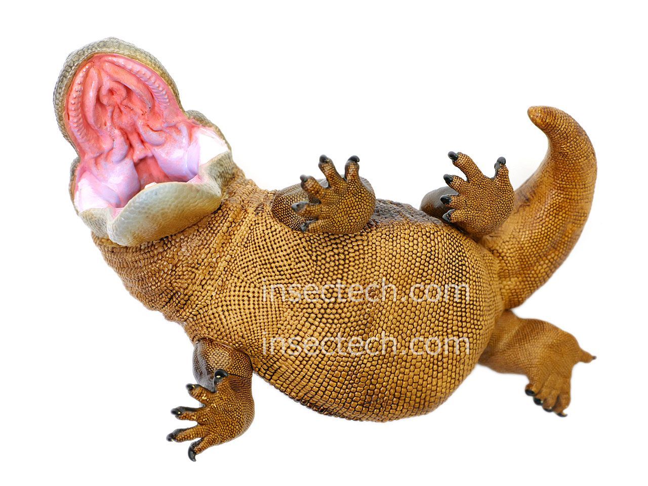 新！【動物の惑星】コモドドラゴン フィギュア - メルカリ