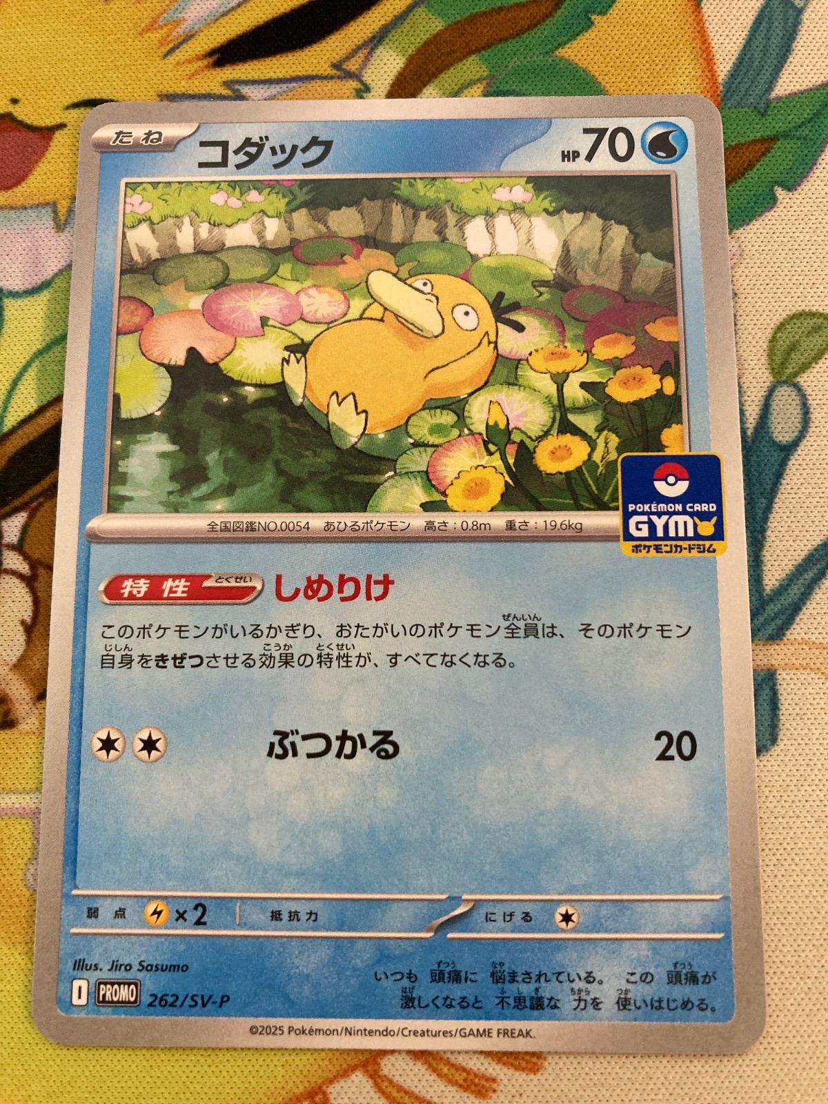 コダック しめりけ 14枚セット 262/SV-P Amazon.co.jp: コダック しめりけ 262 SV P ジム プロモ : ホビー