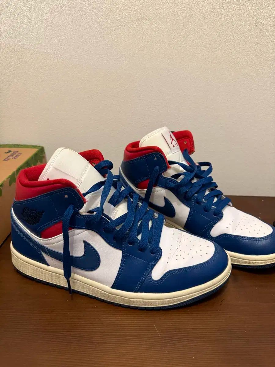 NIKE ナイキ エア ジョーダン 1 ミッド 265