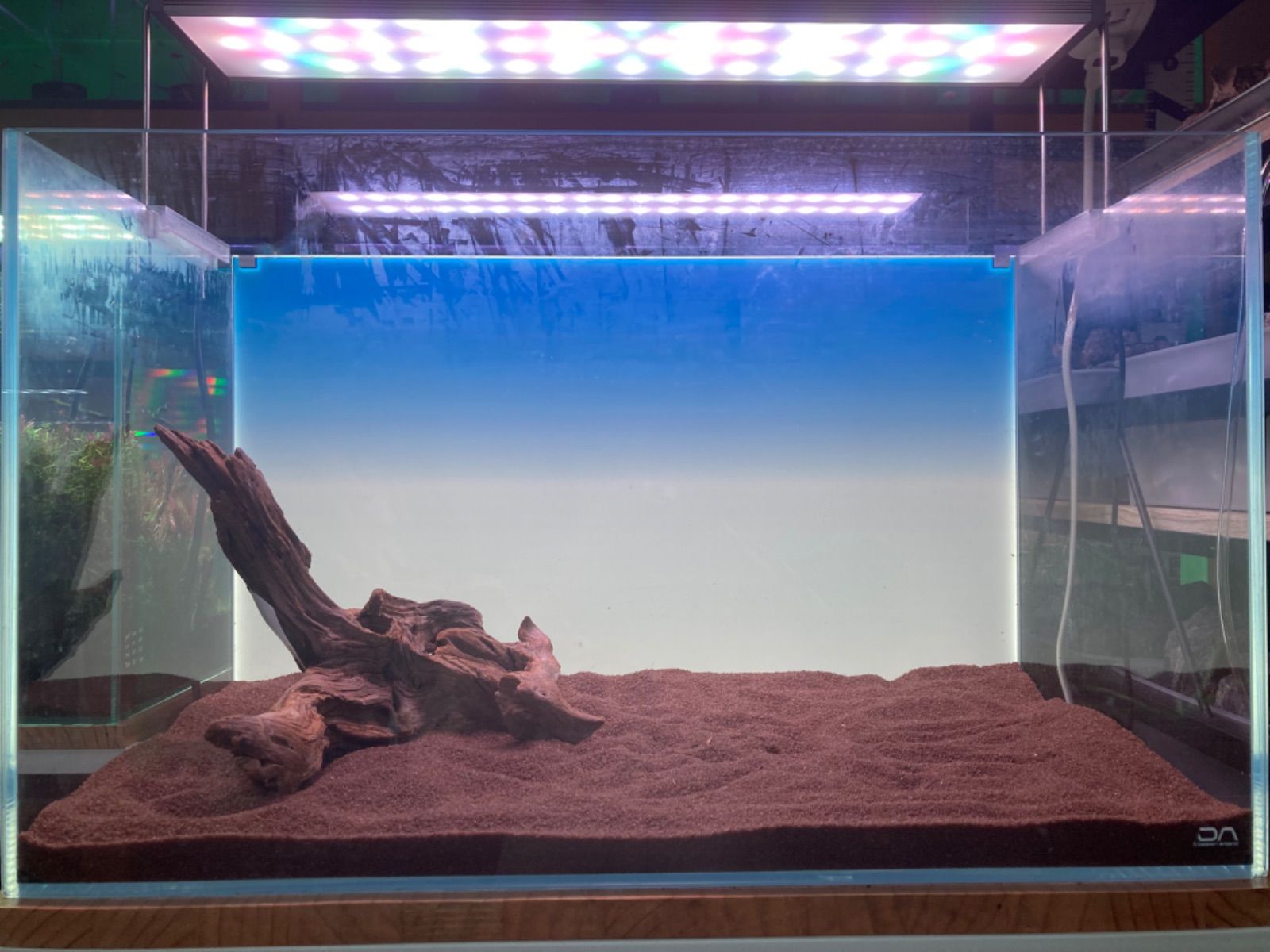 ホーンウッド系流木【セレクト】19