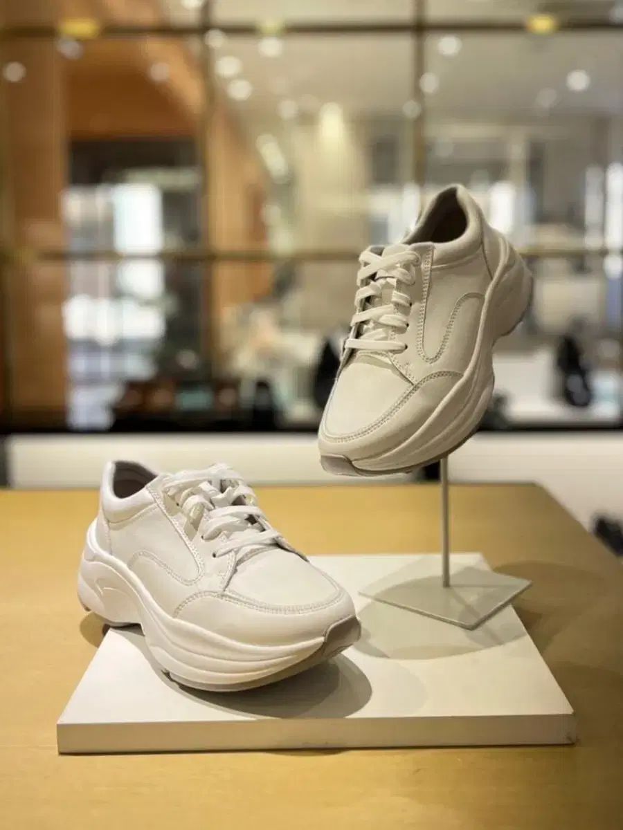 高品質新入ホームオーダー商品_ 30 1万ウォン ROCKPORT(ロックポート) 中止 スニーカー 245 レディース 靴 スニーカーズ 産後 靴