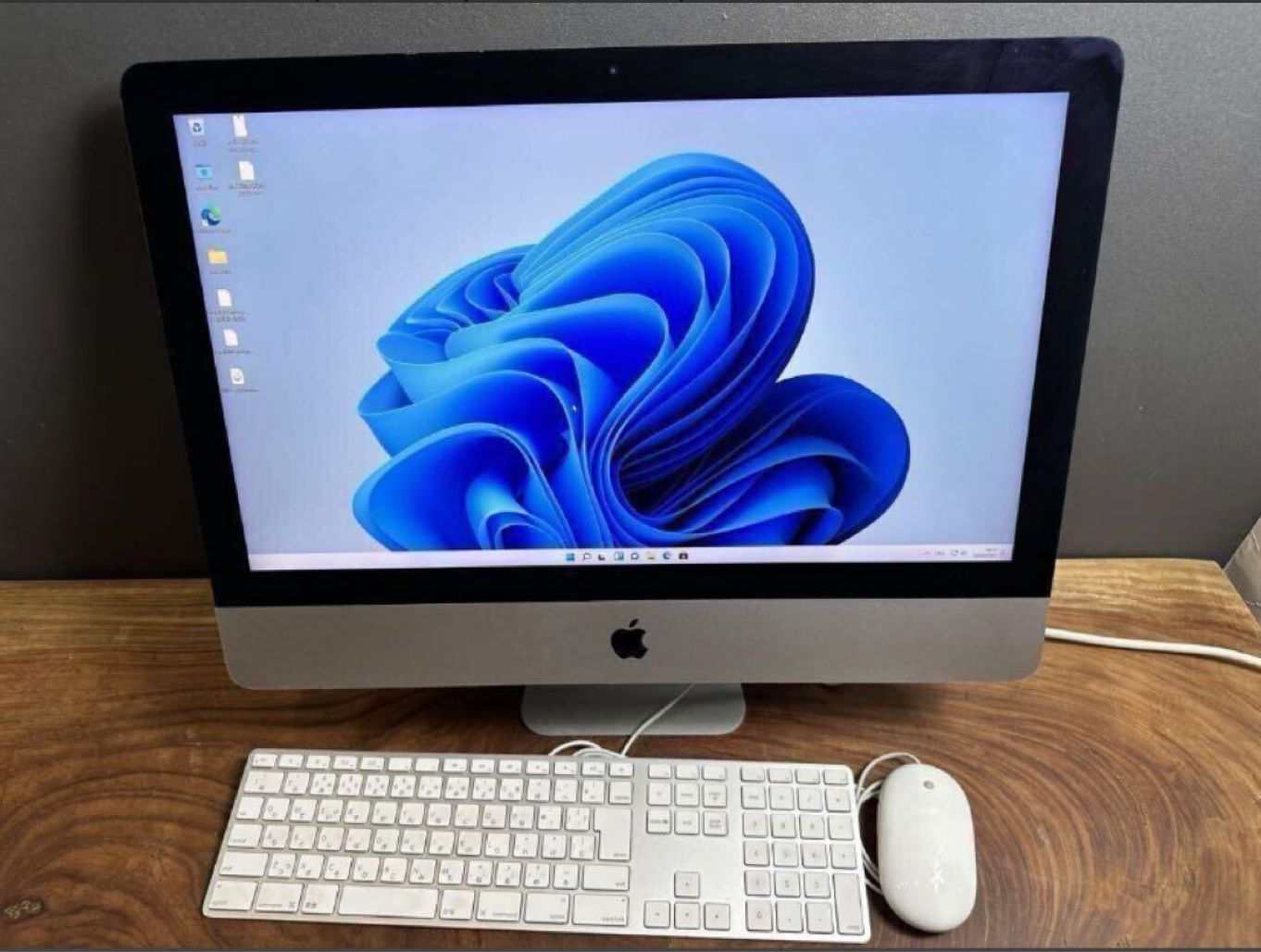Retina
