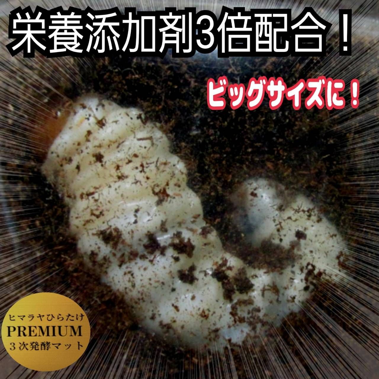 ミヤマクワガタに抜群