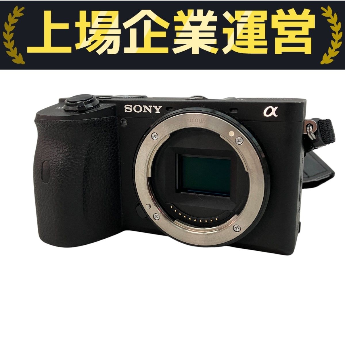 SONY ソニー α6600 ILCE-6600 ミラーレス一眼カメラ 本体のみ