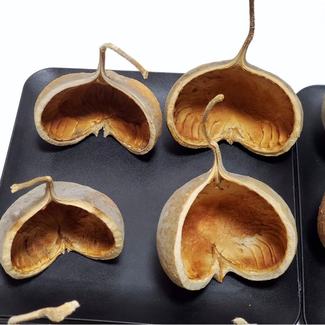 インテリア花材