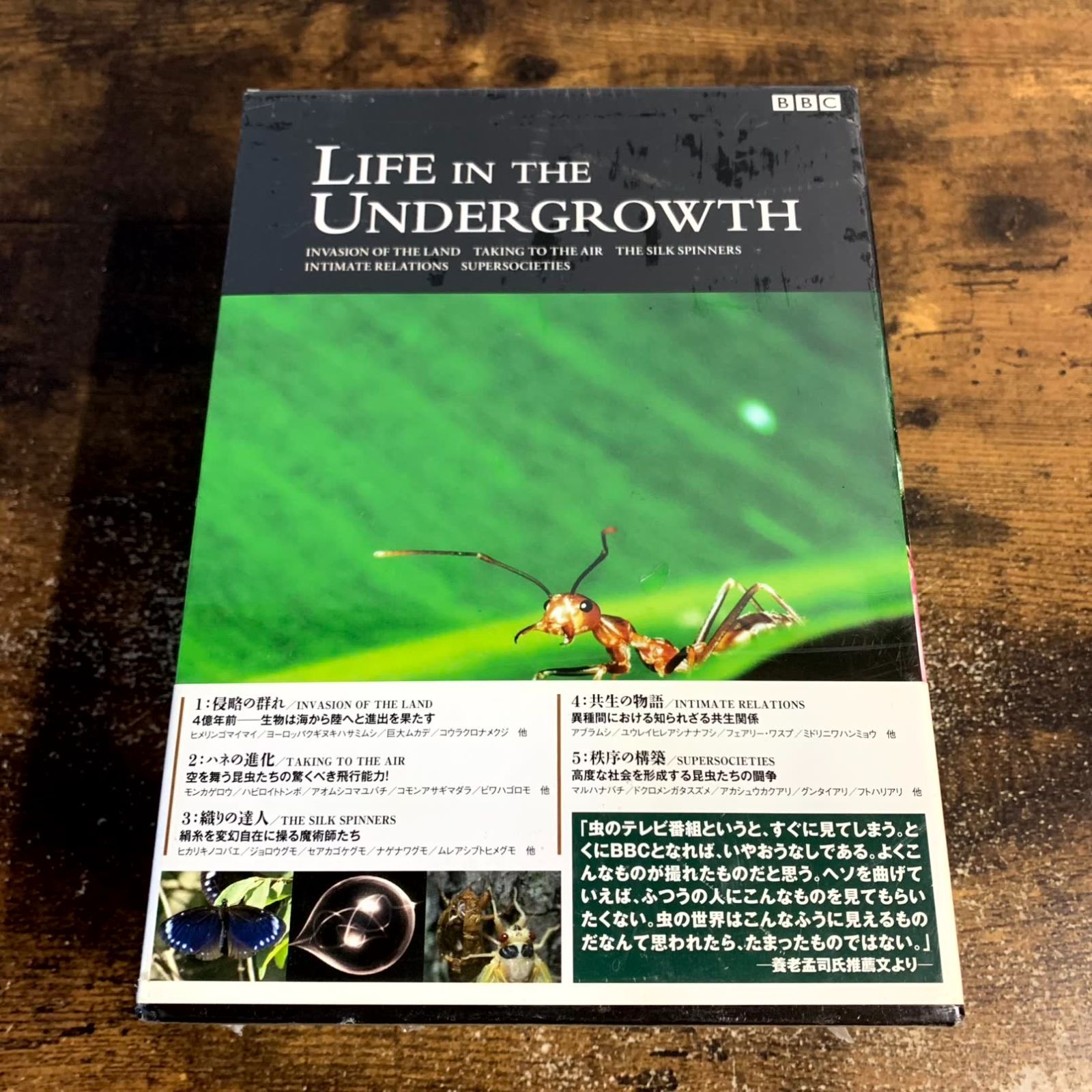 ライフインザアンダーグロウス昆虫の世界：DVD-BOX BBC ライフ・イン