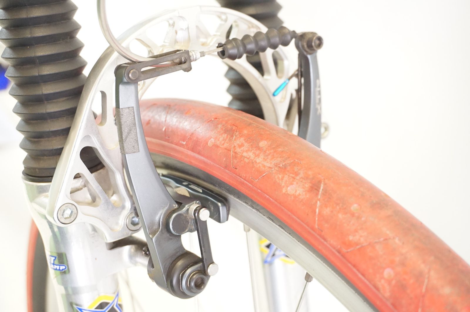 スペシャライズド