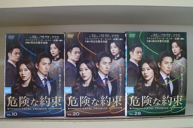 DVD 危険な約束 1～28巻セット 未完 ケース無し発送 レンタル落ち Z3V117