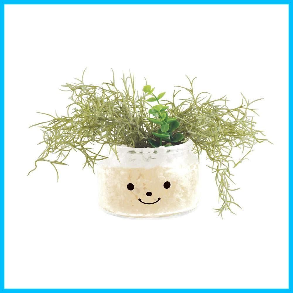 在庫 グリーン 人工観葉植物 W20.5×D15×H12cm 植物を広げた状態 キシマ Kishima