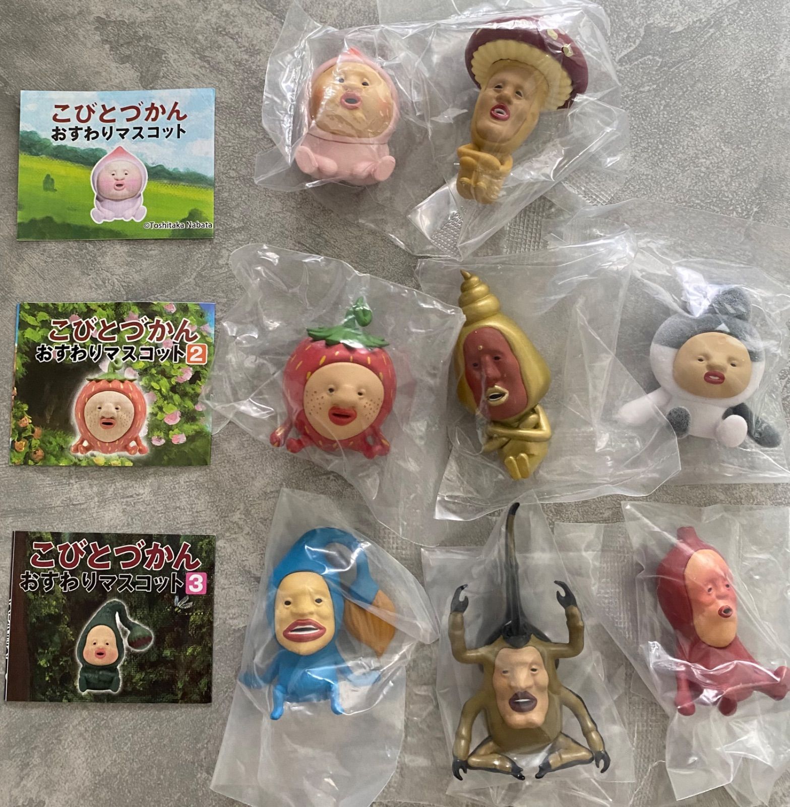 4体セット・こびとづかん・ホトケアカバネ・シボリオオチチ