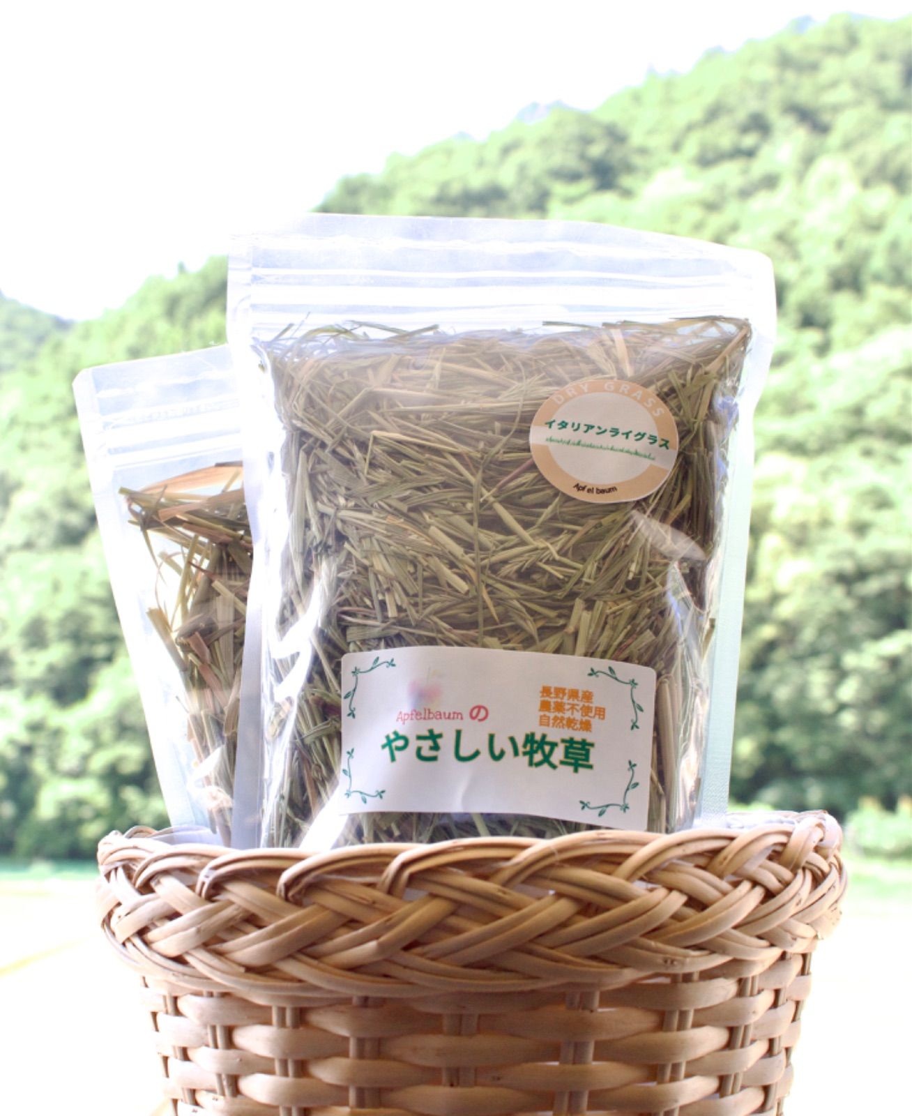 乾燥牧草 イタリアンライグラス 100g - 小動物用品